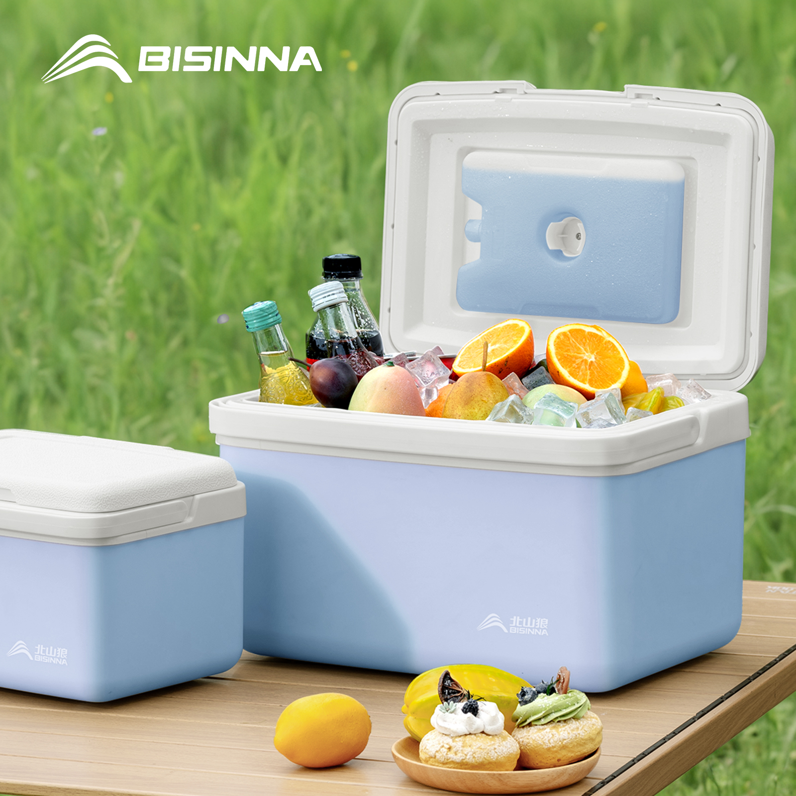 BISINNA Camping Ice Box 6L/9L/ - Outdoor Camping Fridge บทวิจารณ์และราคา